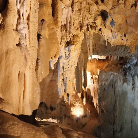 Aux Armes De Belgique 酒店